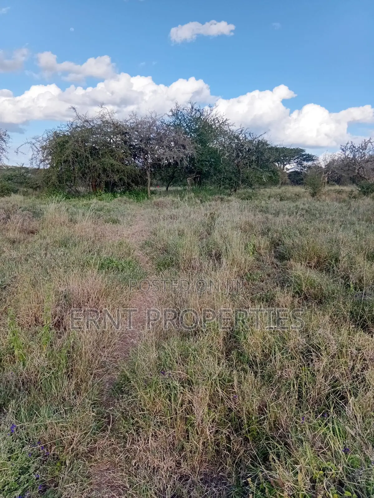 Dragon Fruit Farm — 16 Acres Earning-Ready*