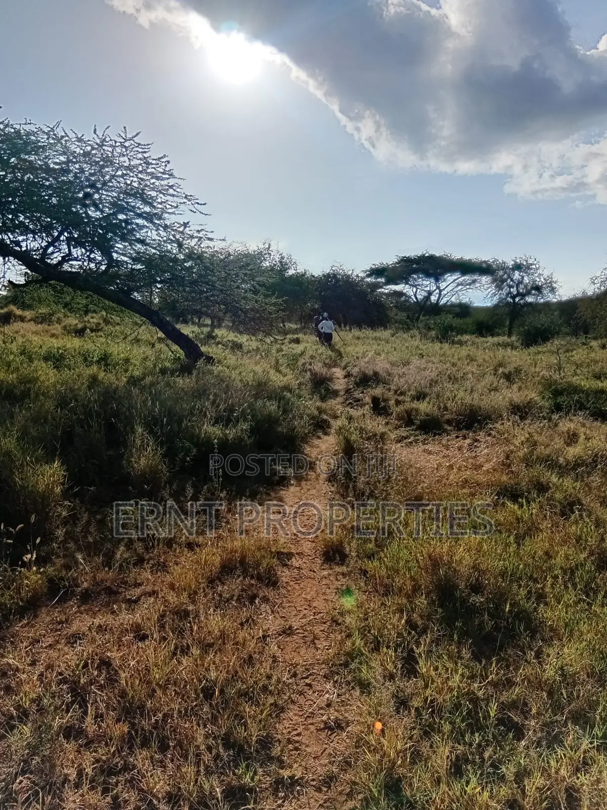 Dragon Fruit Farm — 16 Acres Earning-Ready*