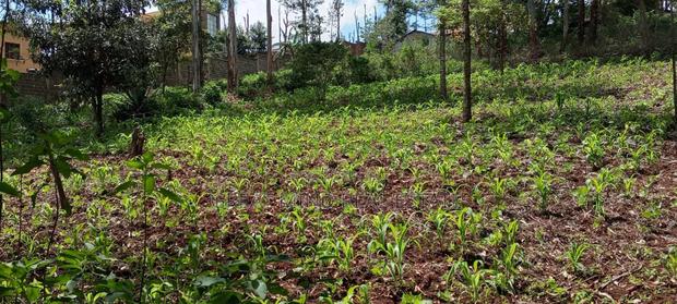 Prime Residential Plots on Sale