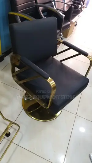 Executive Stylings Chair