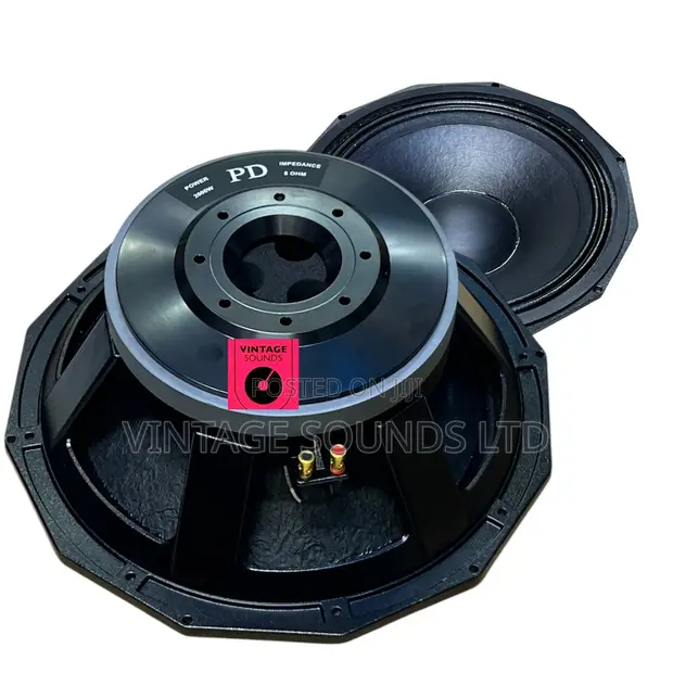 Derwel Pd 1880: 18-Inch 2000w Professional High-Power Subwoofer