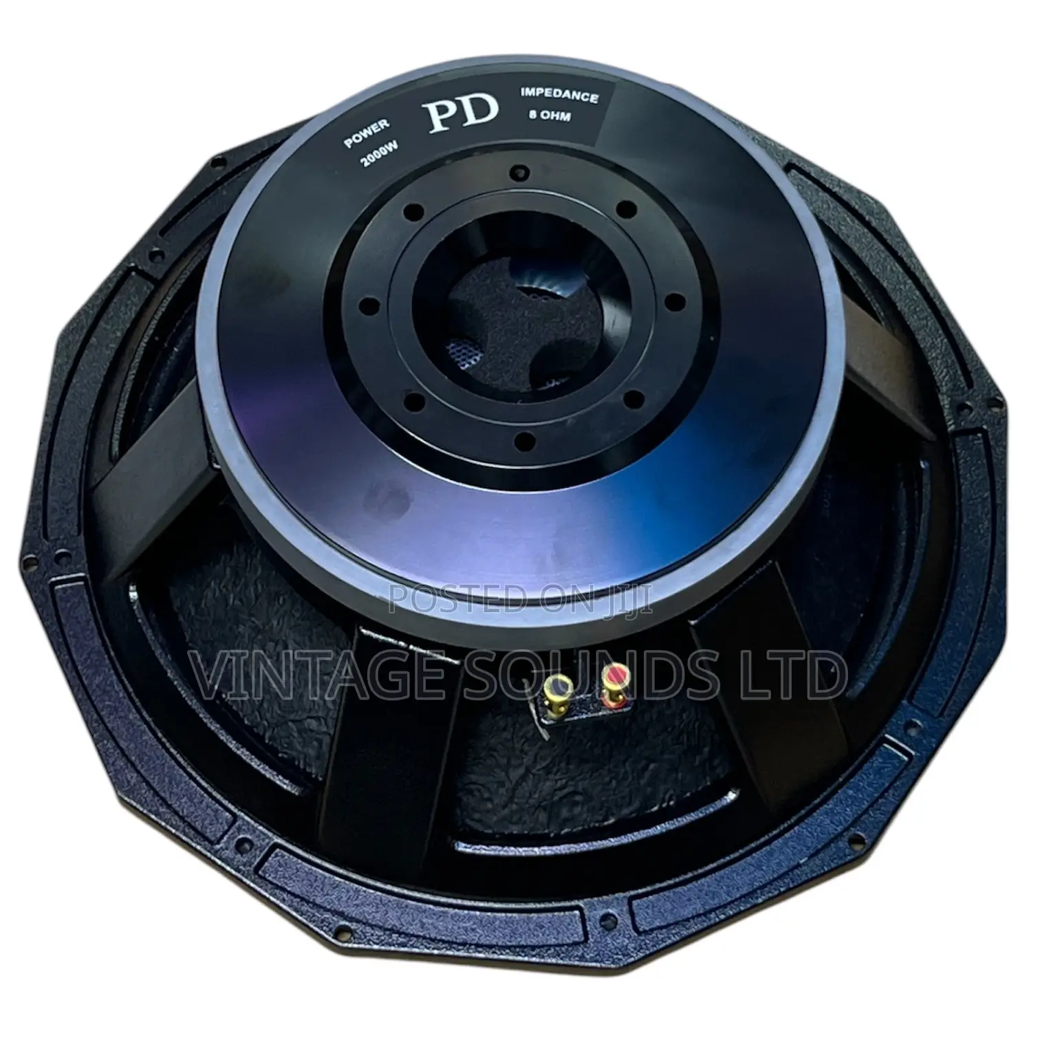 Derwel Pd 1880: 18" 2000w Heavy-Duty Professional Bass Speaker