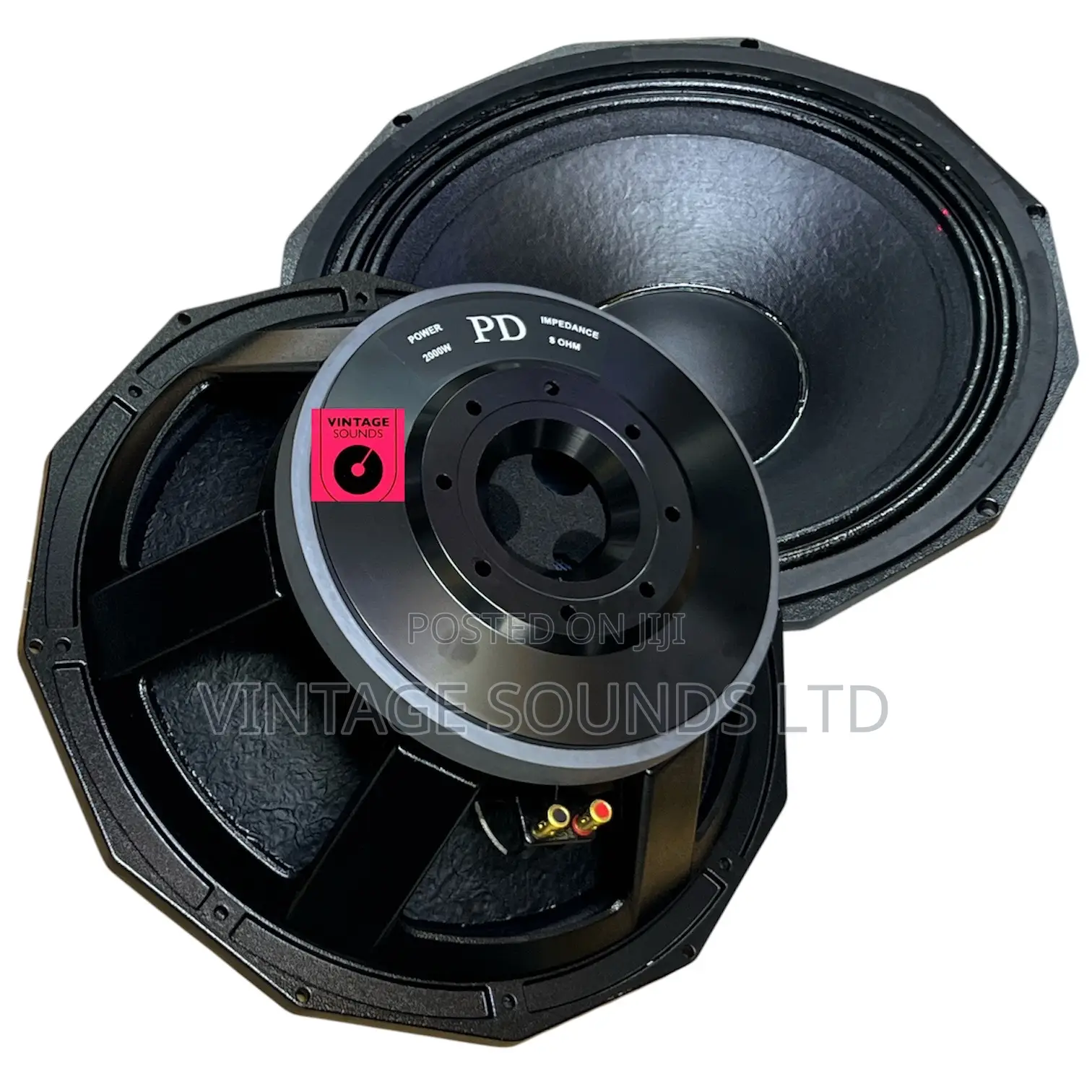 Derwel Pd 1880: 18" 2000w Heavy-Duty Professional Bass Speaker