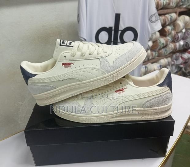Puma Indoor