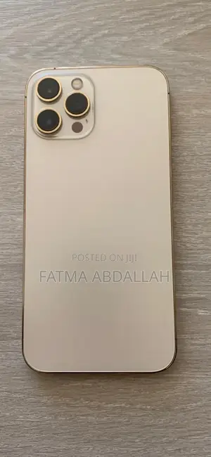 iPhone 12 Pro Max