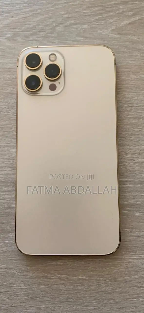 iPhone 12 Pro Max