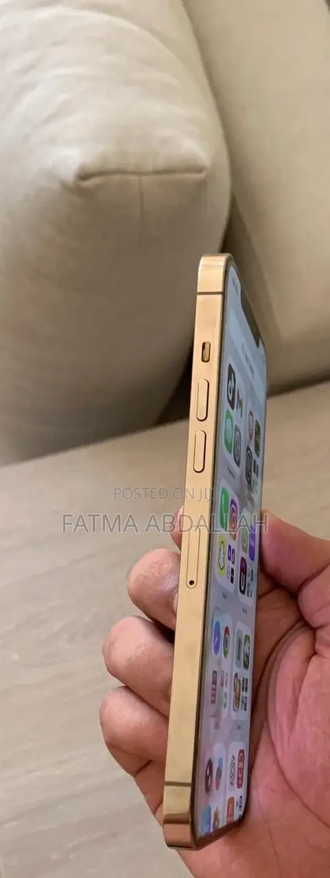 iPhone 12 Pro Max