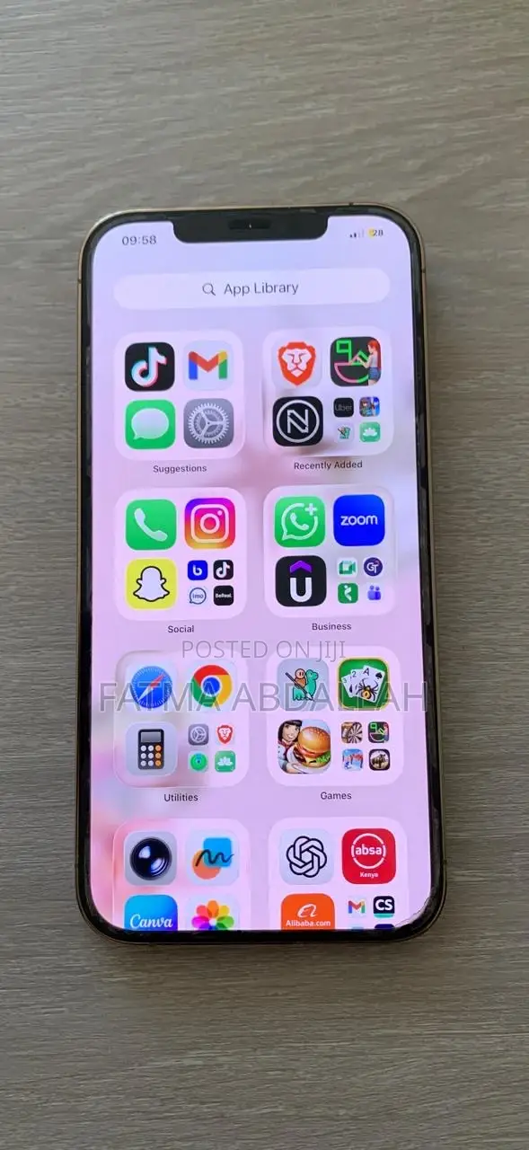 iPhone 12 Pro Max