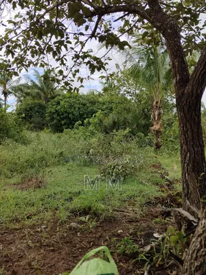 1.5 Acres Land for Sale - Prime Coastal Investment Opportunity