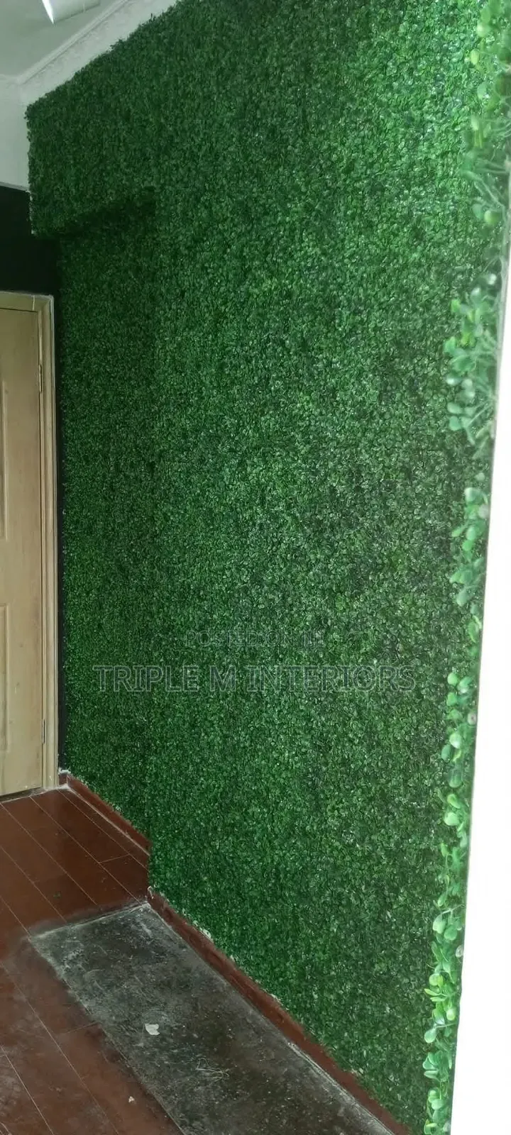 Outdoor Indoor Green Wall Panels 40×60 Boxwood Design