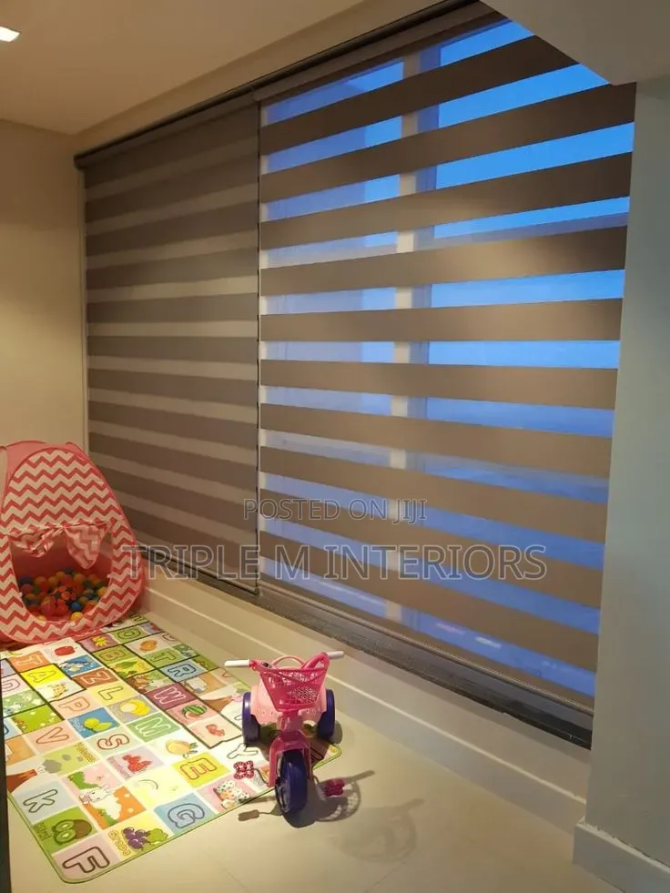 Premium Zebra Blinds for Homes