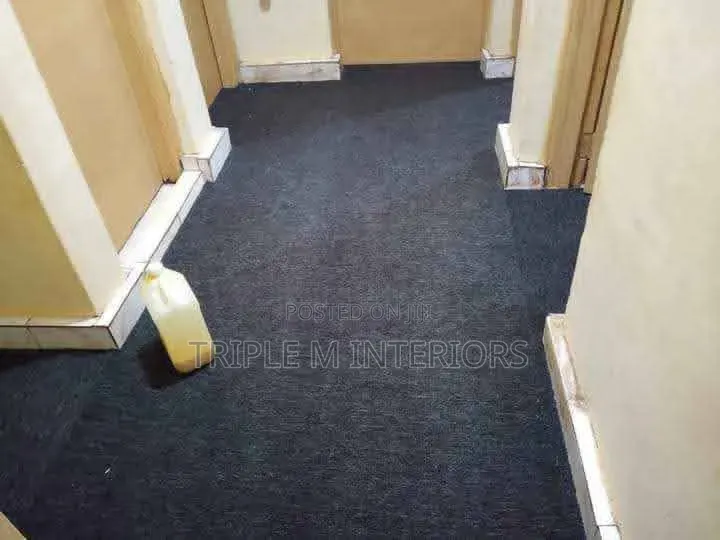 Comfortable Grey Delta Carpet for Cozy Living Spaces