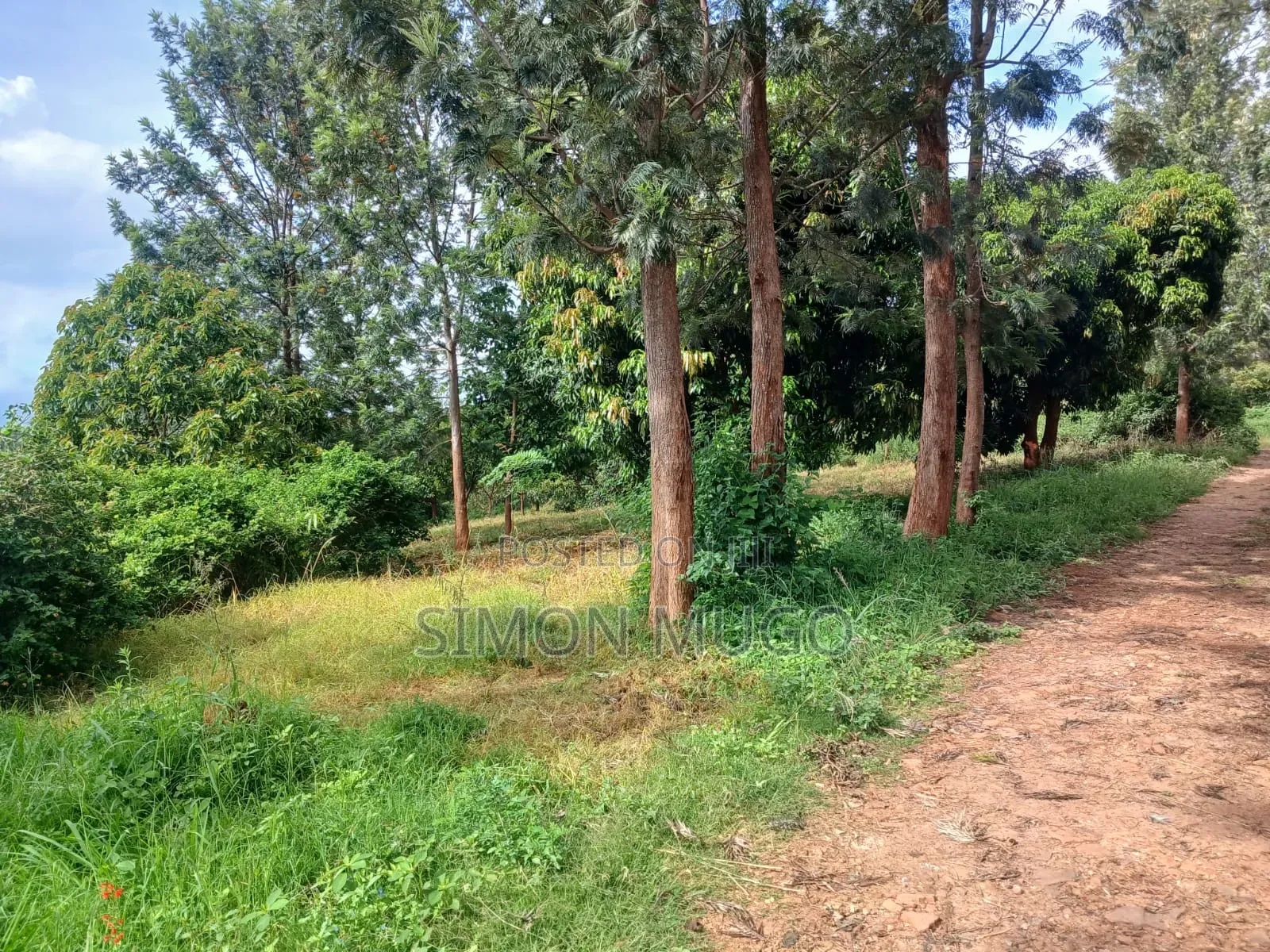 Muranga Maragua Summary 4 Ac With Piped Water and 3phase Power Line