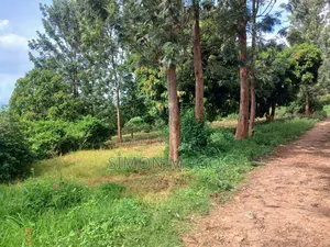 Muranga Maragua Summary 4 Ac With Piped Water and 3phase Power Line