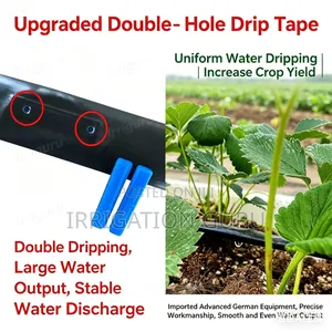 Upgraded Double Hole Tape