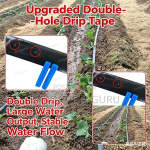 Upgraded to Water Saving Irrigation
