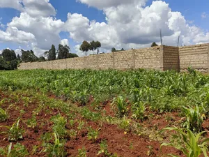 1 Acre for Sale in Gikambura Kikuyu Kiambu County
