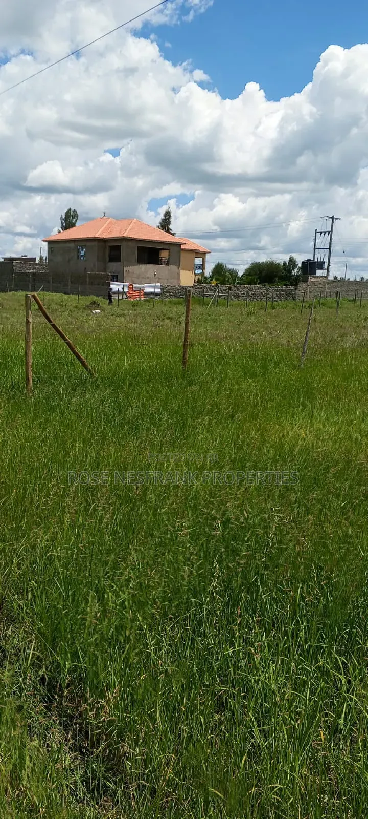 Kimalat 50*100 Ready Title Plots at