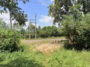 Prime Plot for Sale Daraja Mbili, Kisumu