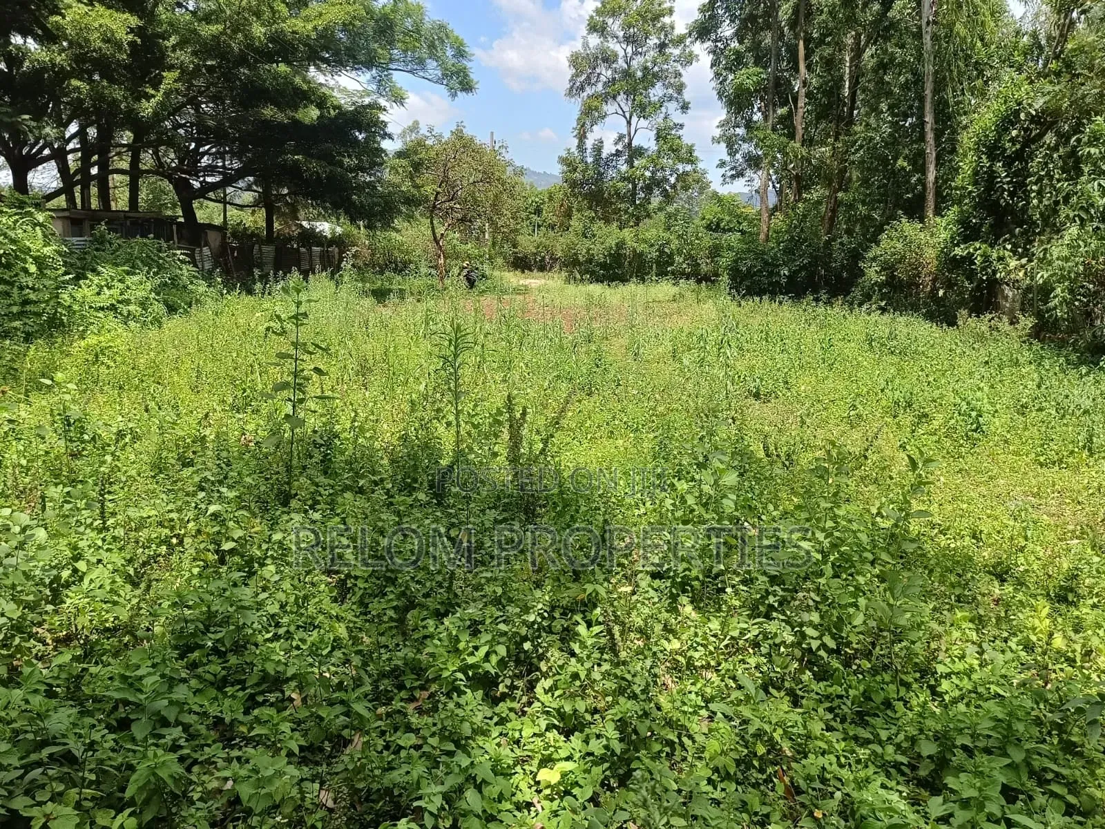 Prime Plot for Sale Daraja Mbili, Kisumu
