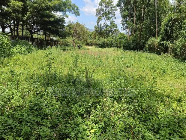 Prime Plot for Sale Daraja Mbili, Kisumu - thumbnail 4