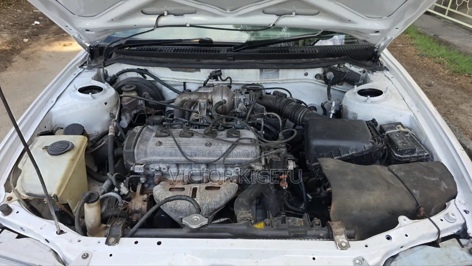 Toyota Corolla Station Wagon 1999 White