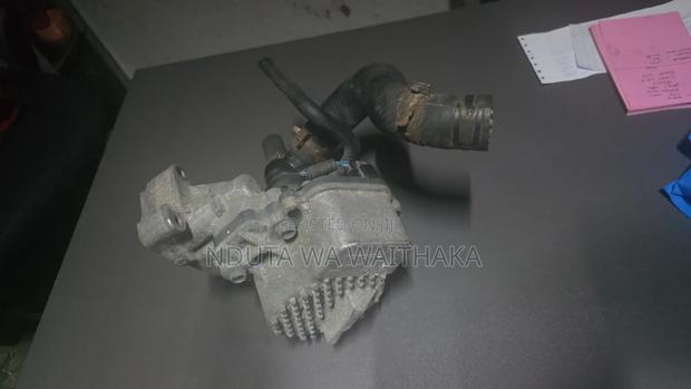 Hybrid Water Pump