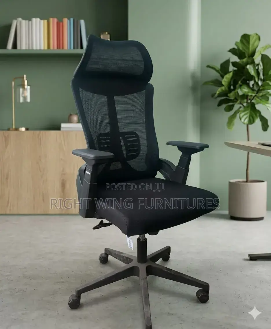 Office Furniture : Orthopedic Office Chair