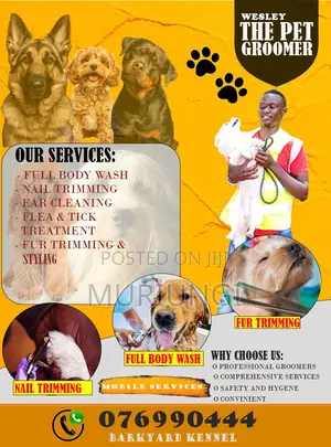 Graphics and Design