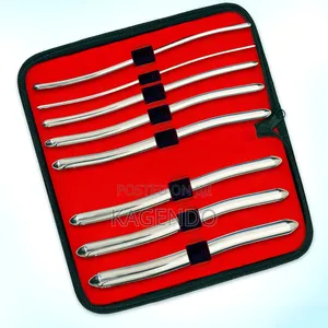 Hegar Dilators Set
