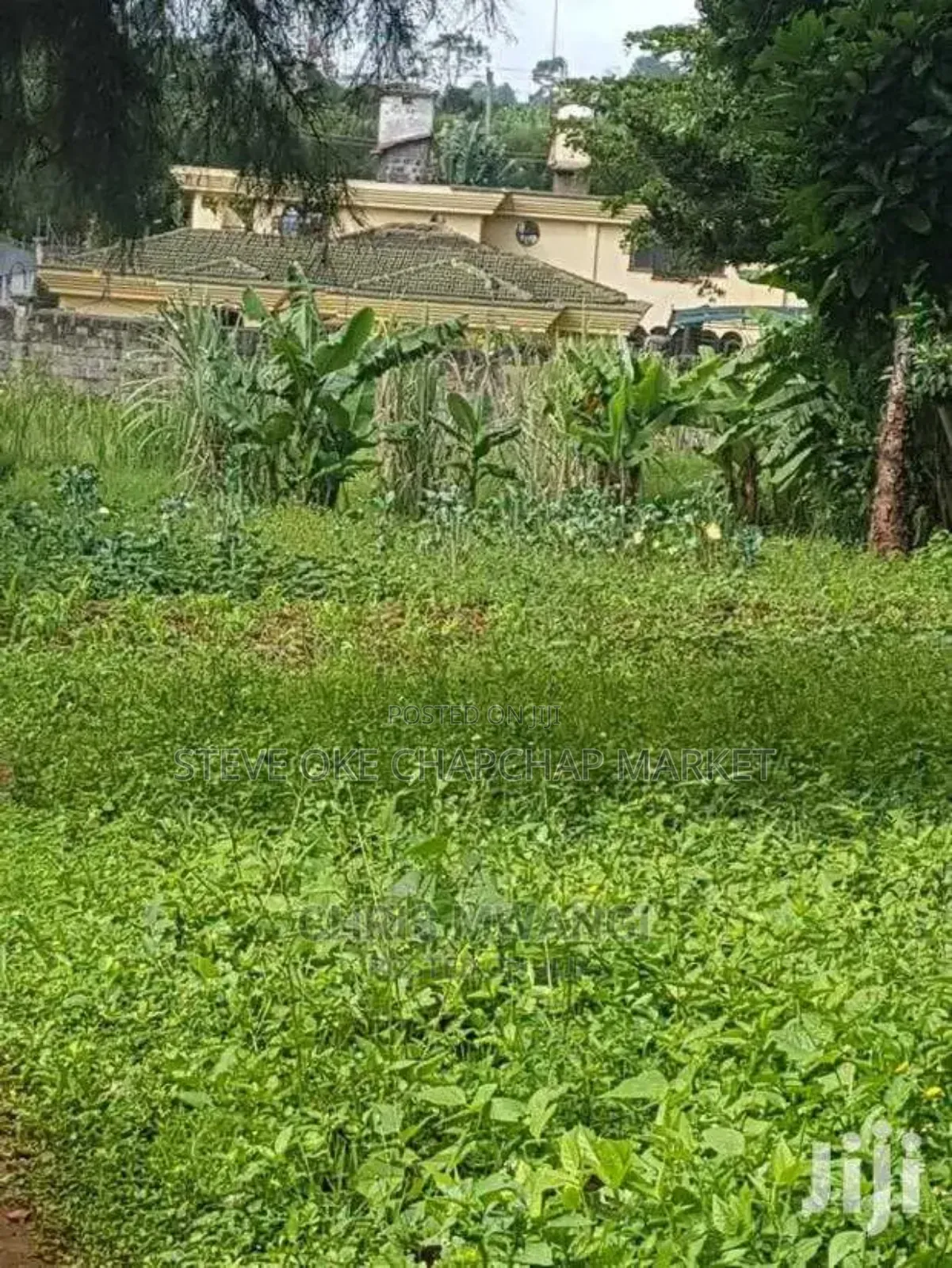Runda Mumwe: 0.5-Acre Vacant Plot Ksh42m