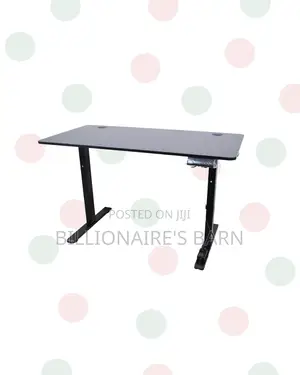 Transform Productivity Through a Standing Desk - Stable Dual-Monitor