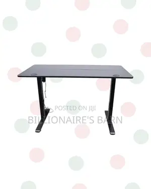 Transform Productivity Through a Standing Desk - Stable Dual-Monitor
