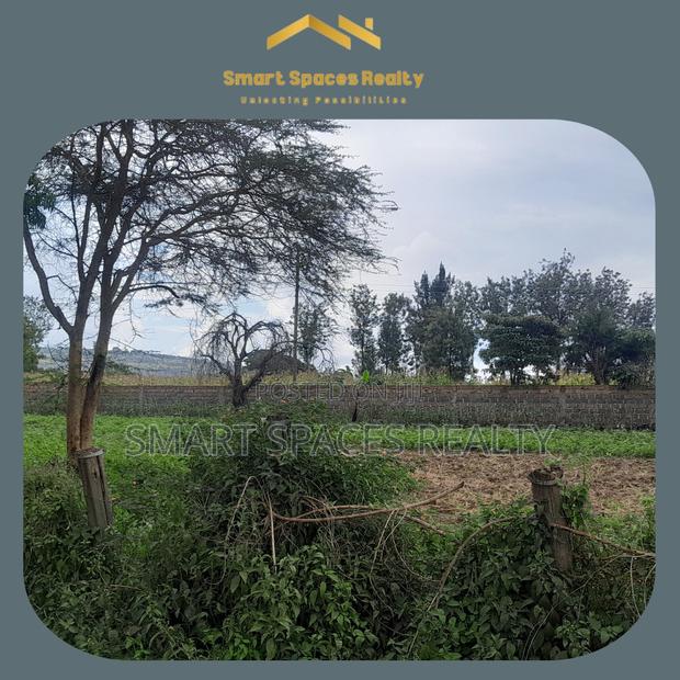 1/2 Acre Plot / Land In Nakuru - thumbnail 3