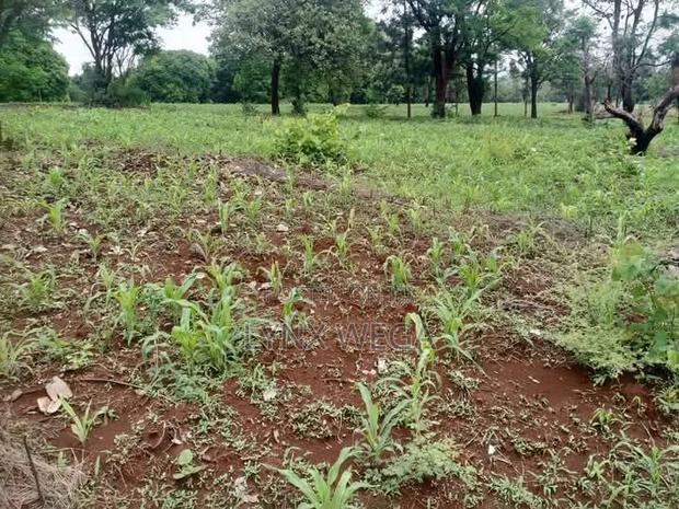 Prime 50*100 Plot Bahati Centre