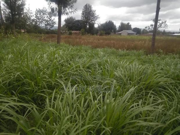 Prime 50*100 Plot Bahati Centre - thumbnail 2