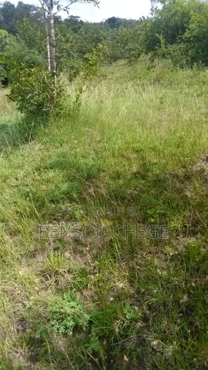 Quarter Acre for Sale at Maragua Ridge