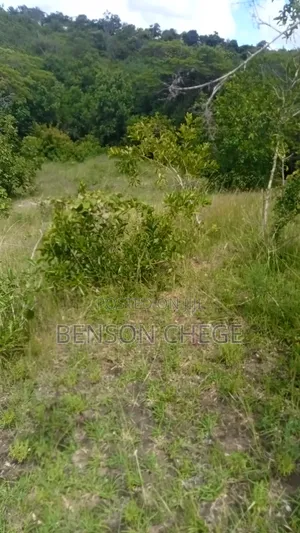 Quarter Acre for Sale at Maragua Ridge