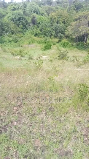 Quarter Acre for Sale at Maragua Ridge
