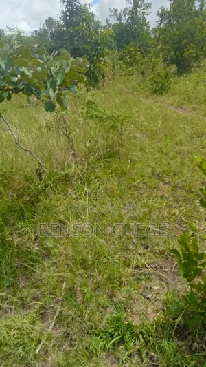 Quarter Acre for Sale at Maragua Ridge