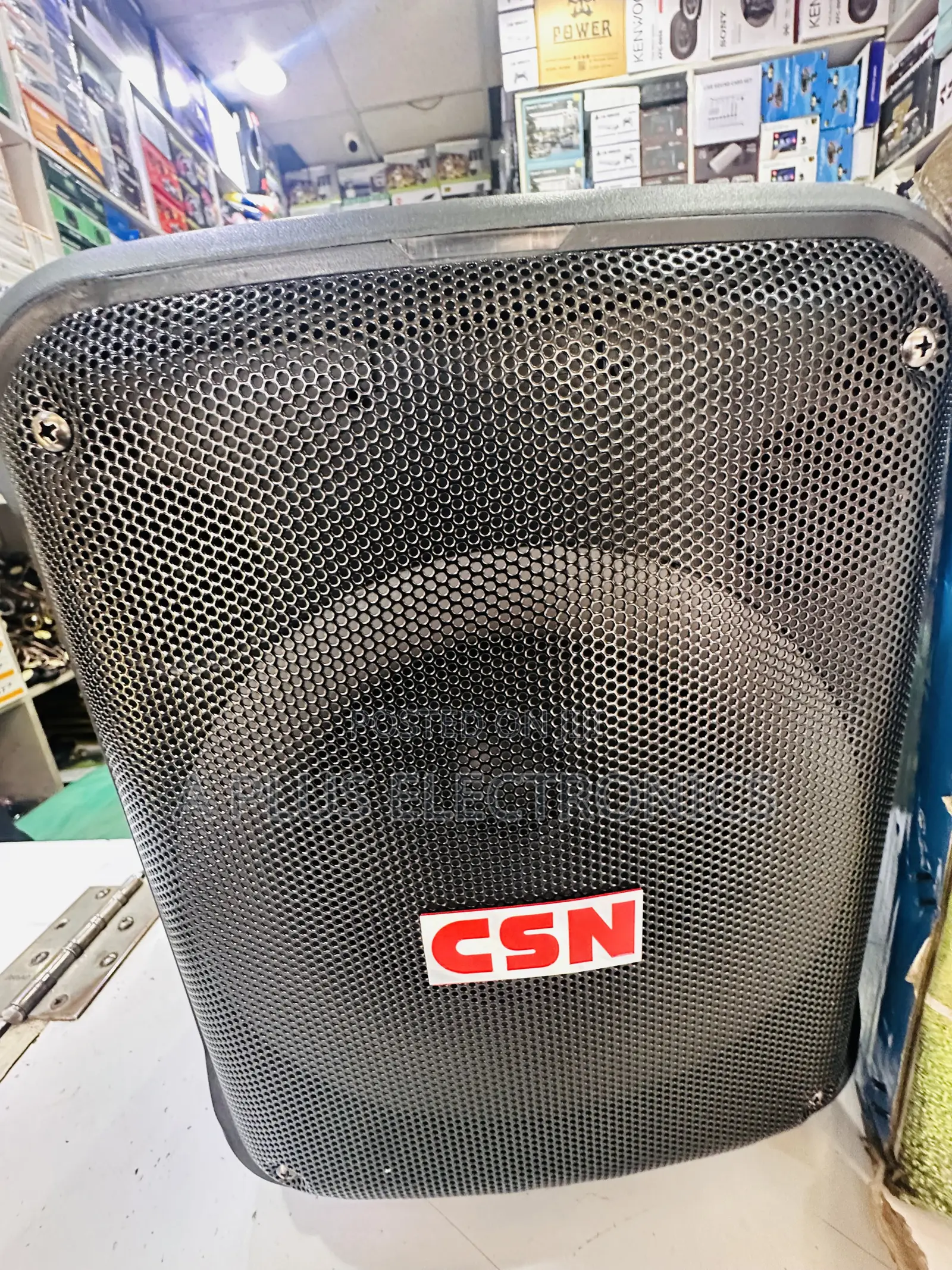 CSN 802 8 Inch, Rechargeable Speaker With 2 Microphones– Portable