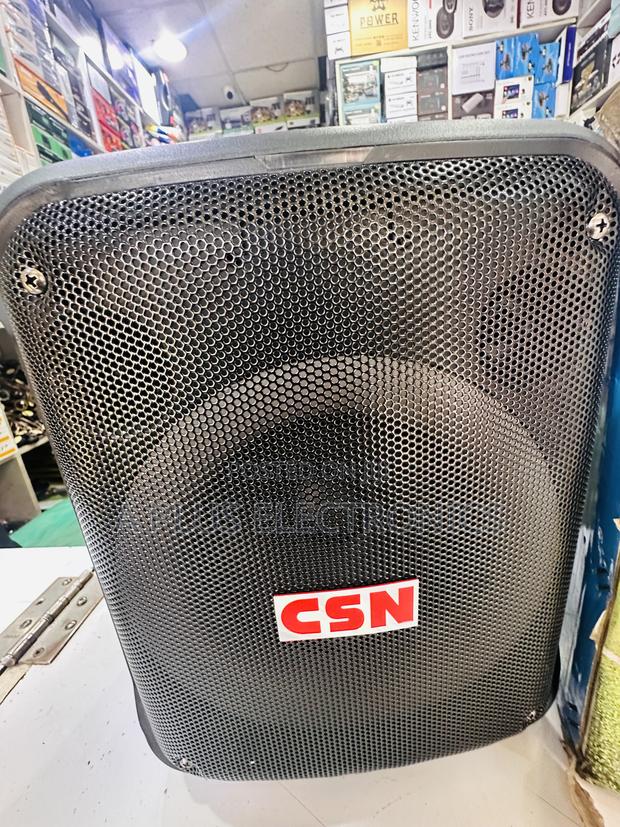 CSN 802 8 Inch, Rechargeable Speaker With 2 Microphones– Portable