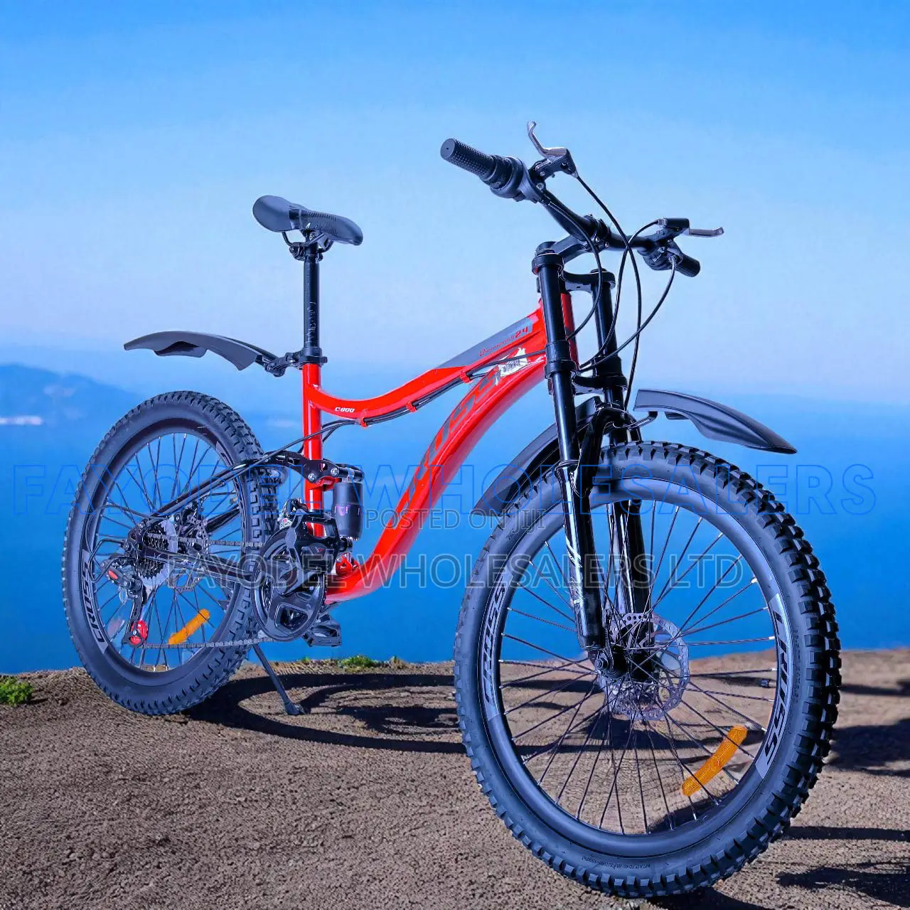 Cross MTB Size 24 for Teens and Adults