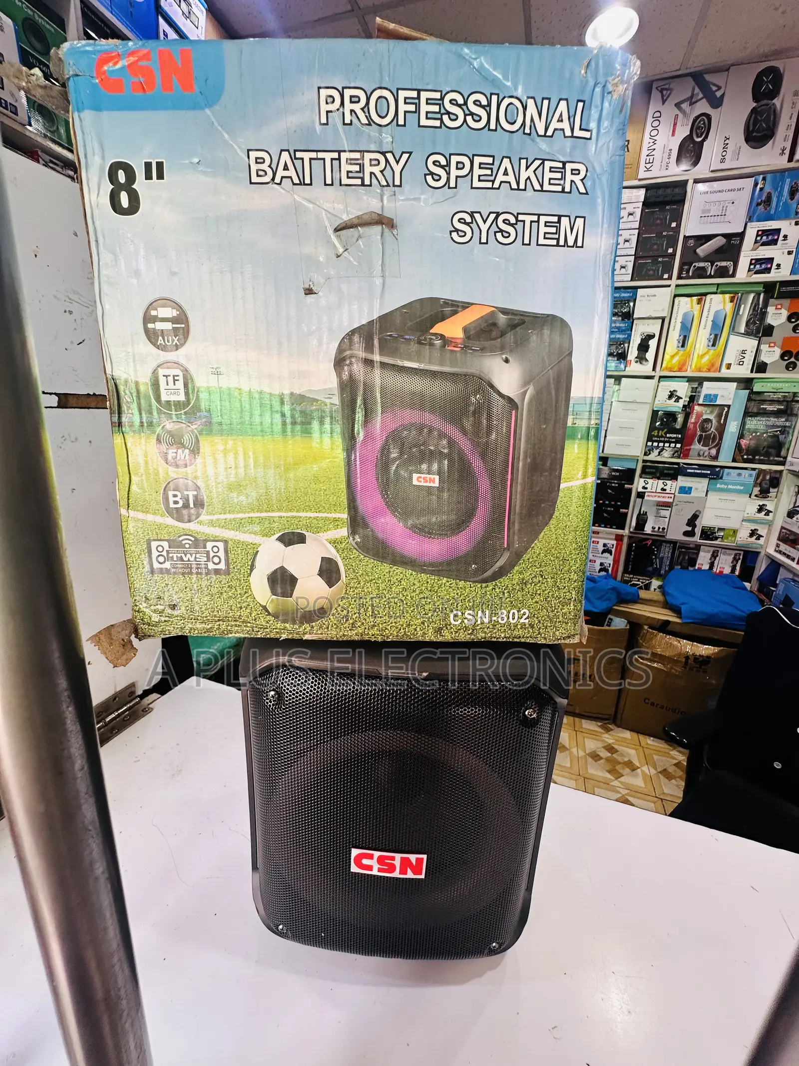 CSN 802 8 Inch, Rechargeable Speaker With 2 Microphones– Wireless