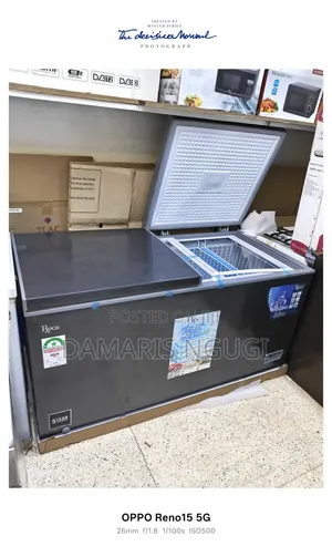 Roch Double Door Deep Freezer