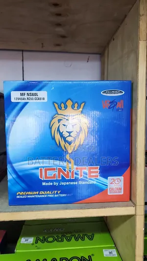 Ignite Car Battery Ns60