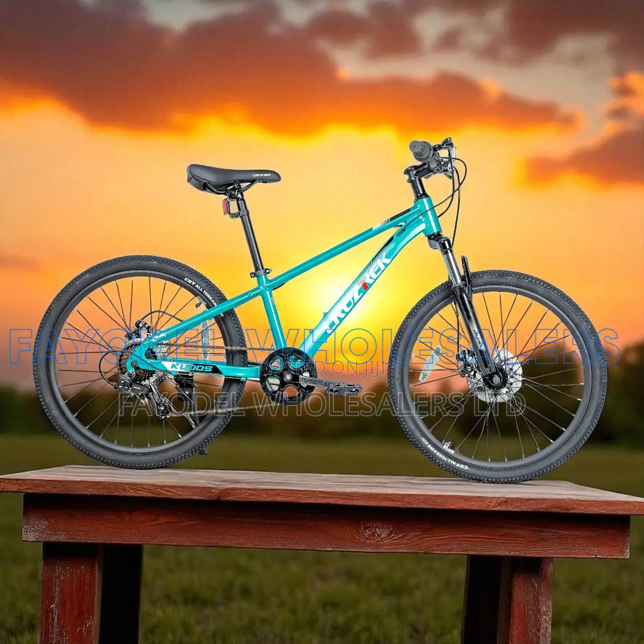 Cruztrek Size 24 Kudos MTB Bike