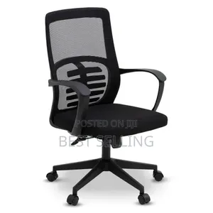 Low Back Black Breathing Chair