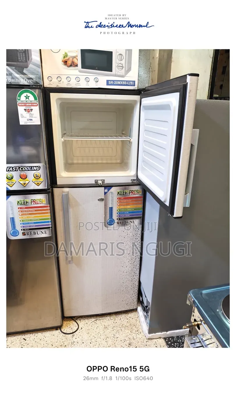 Silver Rebune Refrigerator