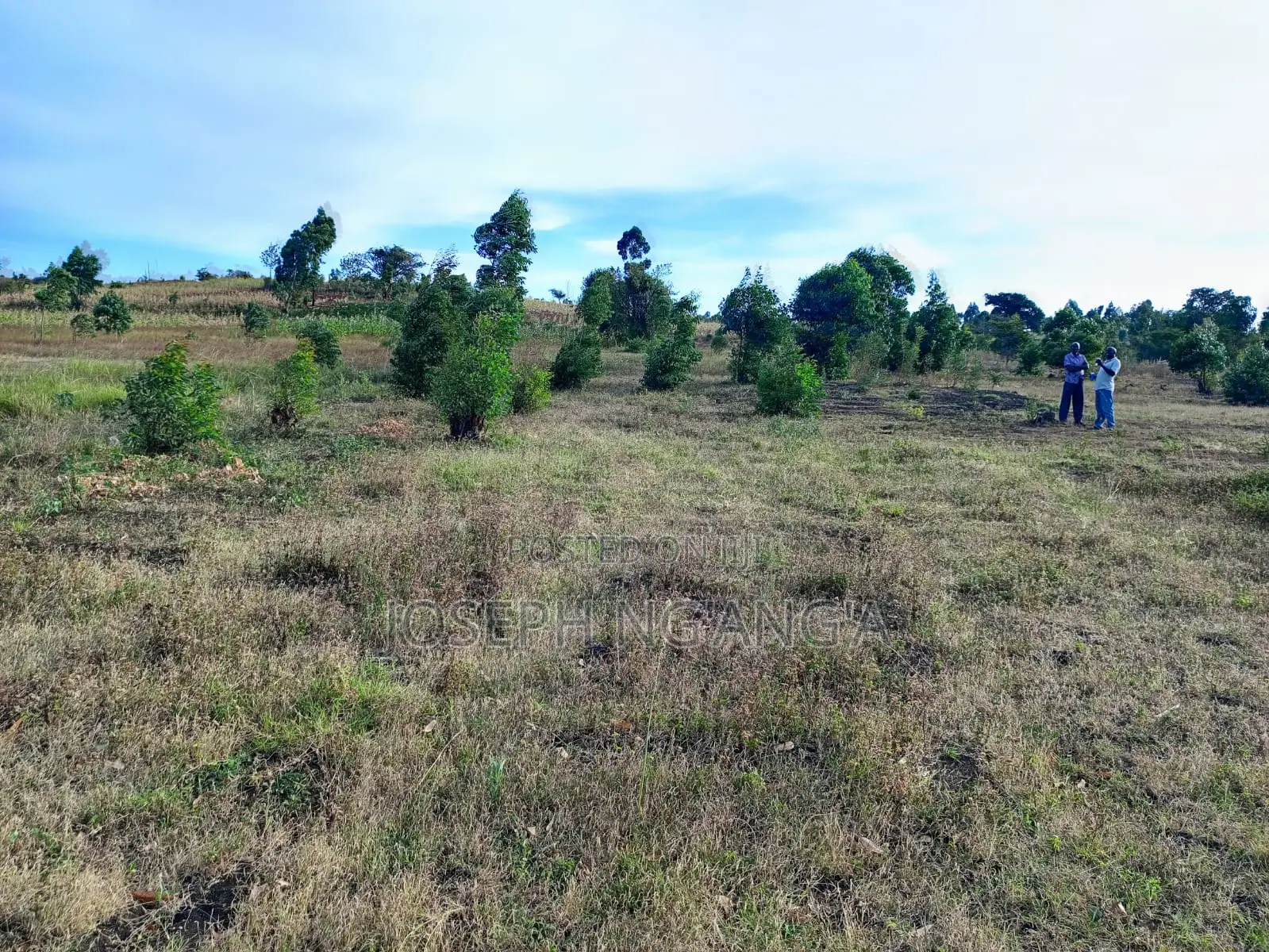 Quarter Plot for Sale Gikono